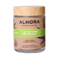 ALMORA FARM: Gelato #33 .5g Preroll 14pk/7g (H)- Sungrown Flower