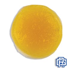 Detroit Muscle Badder Extract | 1g (Cured Resin)