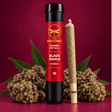 Dragonfly | Black Maple | 1g Pre-Roll