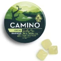 KIVA: Camino Sparkling Pear 1:3 (THC:CBD) "Social" Gummies 20-Piece/100mg (H)