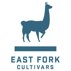 East Fork Cultivars Tangerang