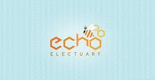Echo Electuary Original Glue Live Resin Budder 1g