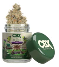 CANNABIOTIX: GM-UHOH 3.5g - Indoor Flower (I/H)