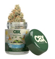 CANNABIOTIX: Tropicanna 3.5g - Indoor Flower (S)