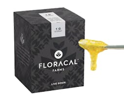 FloralCal Papaya Live Rosin Badder 1g