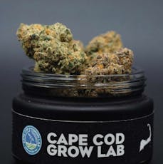 Cape White Shark | 3.5g