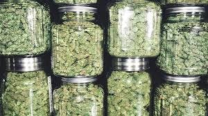 Juicy Farms Under Sparkles - Packaged Oz
