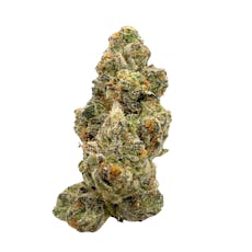 Tahiti Twist, Indoor