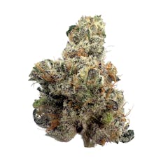 Strawberry Sherbcake, Indoor