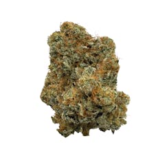 Bruce Banner, Indoor