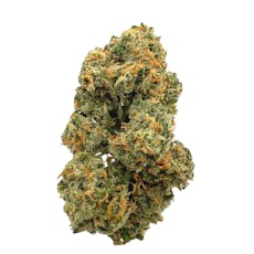 Strawberry Cough, Indoor