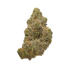 Bubblegum Marker, Indoor