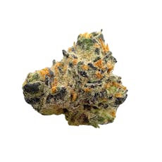 Cadillac Rainbow, B-buds, Indoor