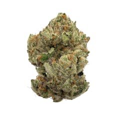 Grandma's Gun Chest, Indoor