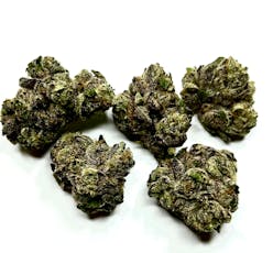 Hella Hyphy - Gas Break Dip Indoor Flower 3.5g