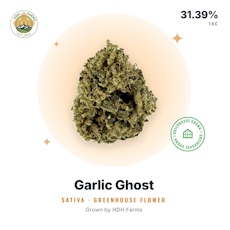 HDH - Garlic Ghost