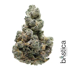 Gelato 33 | 3.5g