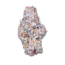 Gelato 33 - 28g Popcorn