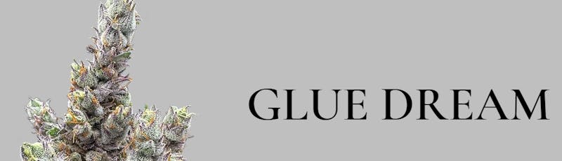 Glue Dream | 3.5g