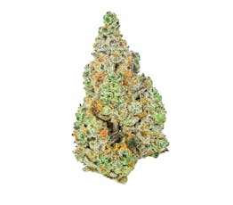 Hecate Gardens Space Junk