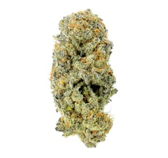 Excolo Wonder Cookie