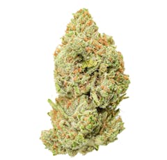 Pruf Cultivar Blank Check #4