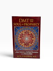 DMT and the Soul of Prophecy