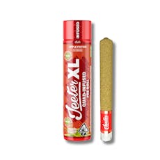 Apple Fritter - XL Jeeter Infused Pre Roll | 2g
