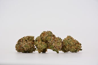 Florida Kush 1/8th Indica hybrid Flower