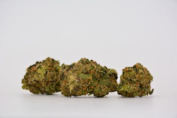 Wedding Cake 1/8th Indica Flower