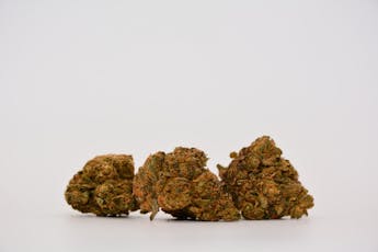 Gelato 1/8th Indica Flower