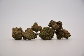 Green Crack 1/8th Sativa