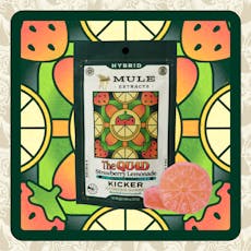 Strawberry Lemonade, 1:1:1:1 THC:CBD:CBN:CBG Gummy