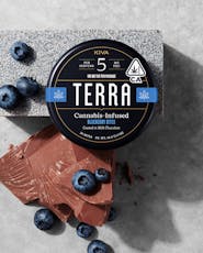 Kiva - Terra Blueberry Milk Chocolate Bites 100mg
