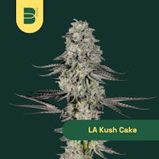 LA Kush Cake | 3.5g