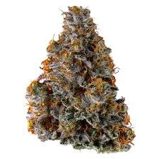 LEMON CHERRY GELATO 1/8oz