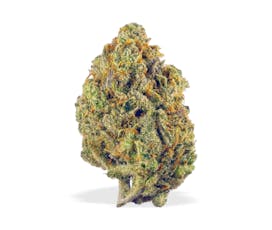 UB Lemon Pastries | 3.5