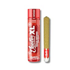 Lychee - XL Jeeter Infused Preroll | 2g