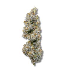 Mad Hatter - Cold Cured | 3.5g