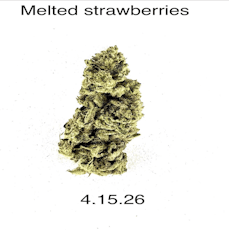 HDH - Melted Strawberries