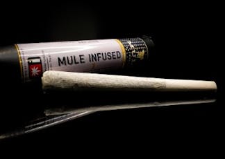 Blueberry Muffin x Steakhouse, Infused Pre-Roll, 1g