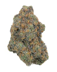 Northern Lights
