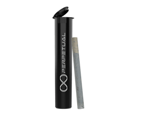 Perpetual Sherb BX 0.5g Preroll