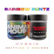 Rainbow Runtz 3.5g Flower Jar | Animal House