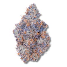 Raspberry Syrup | 3.5g