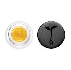 Raw Garden Live Sauce 1g Funk N Fire