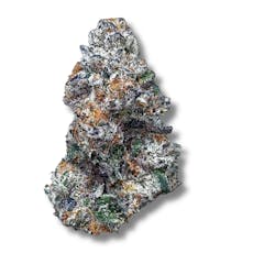 Scarlett Shortcake | 3.5g