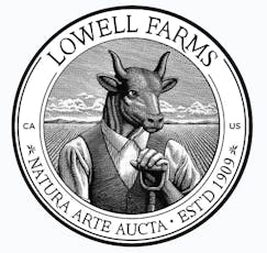 Lowell Smokes | A Shore Thing | 6pk/3.5g Prerolls