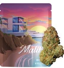 Seed Junky - Malibu - Flower - 3.5G