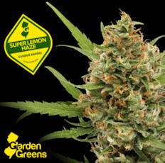 Garden Greens | Mixed Buds | Super Lemon Haze | 7g